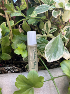 Christine Valmy's all-natural Zapper for oily and breakout-prone skin glass rollerball tube surrounded by green plants.